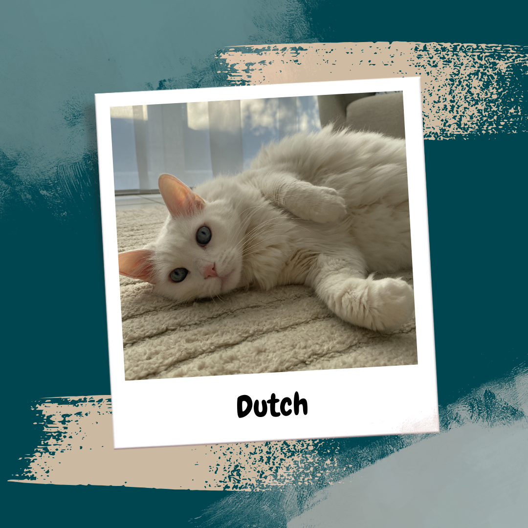 Beige Aesthetic Feminine Lifestyle Polaroid Photo Frame Instagram Post (27)