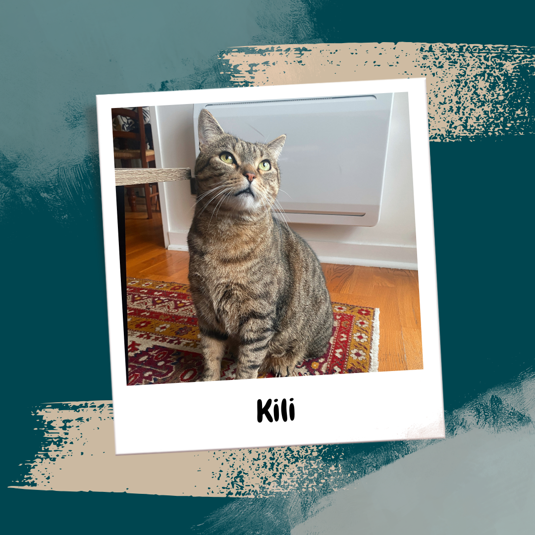 Beige Aesthetic Feminine Lifestyle Polaroid Photo Frame Instagram Post (29)