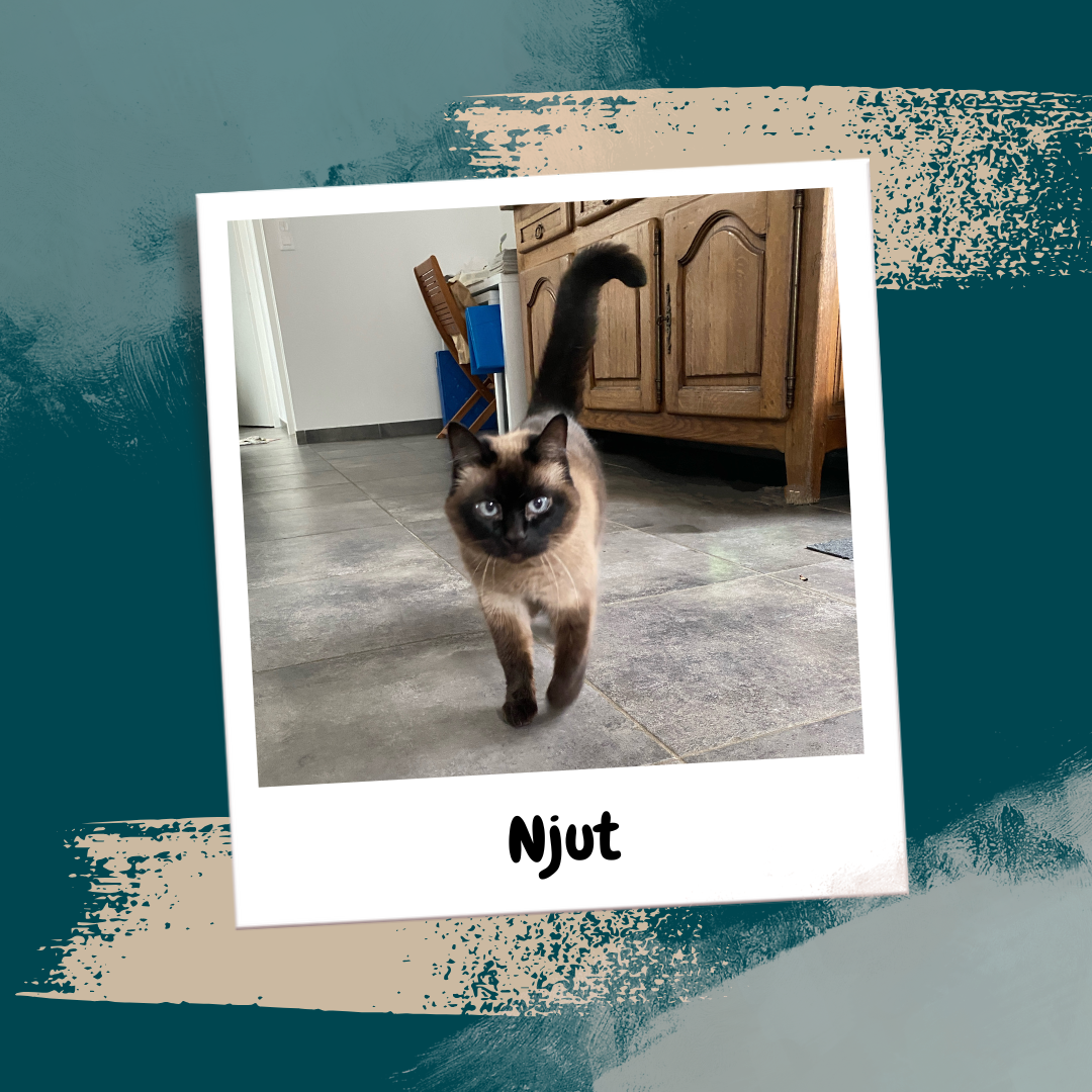 Beige Aesthetic Feminine Lifestyle Polaroid Photo Frame Instagram Post (30)