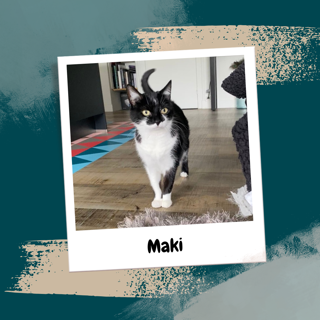 Beige Aesthetic Feminine Lifestyle Polaroid Photo Frame Instagram Post (25)