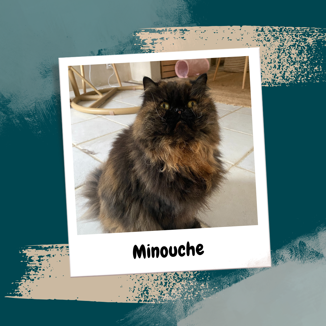 Beige Aesthetic Feminine Lifestyle Polaroid Photo Frame Instagram Post (26)