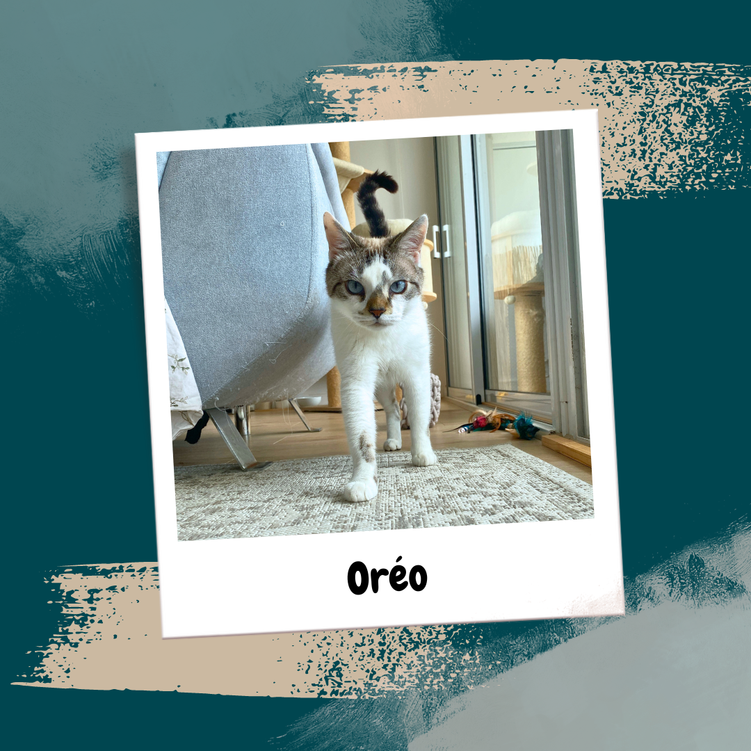 Beige Aesthetic Feminine Lifestyle Polaroid Photo Frame Instagram Post (18)