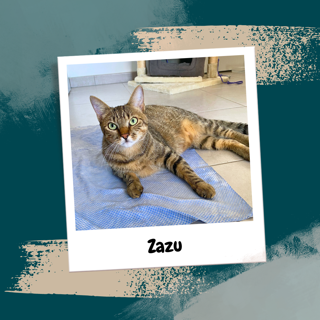 Beige Aesthetic Feminine Lifestyle Polaroid Photo Frame Instagram Post (19)