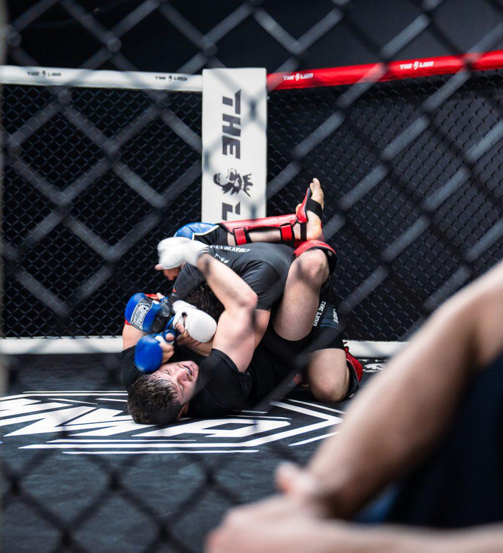 MMA