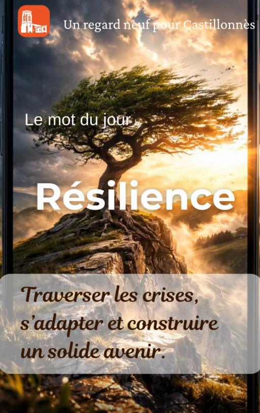 Mot du jour - Résilience