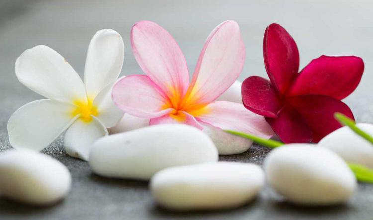 ART-THERAPIE : Prendre soin de soi par la création