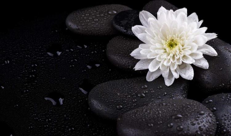 ACCOMPAGNEMENT CRÉATIF : Clarifier, incarner, mettre en mouvement