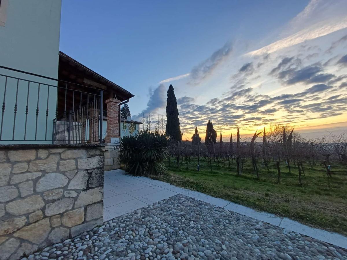 2° Giornata a Lonigo 2° Giornata a Lonigo