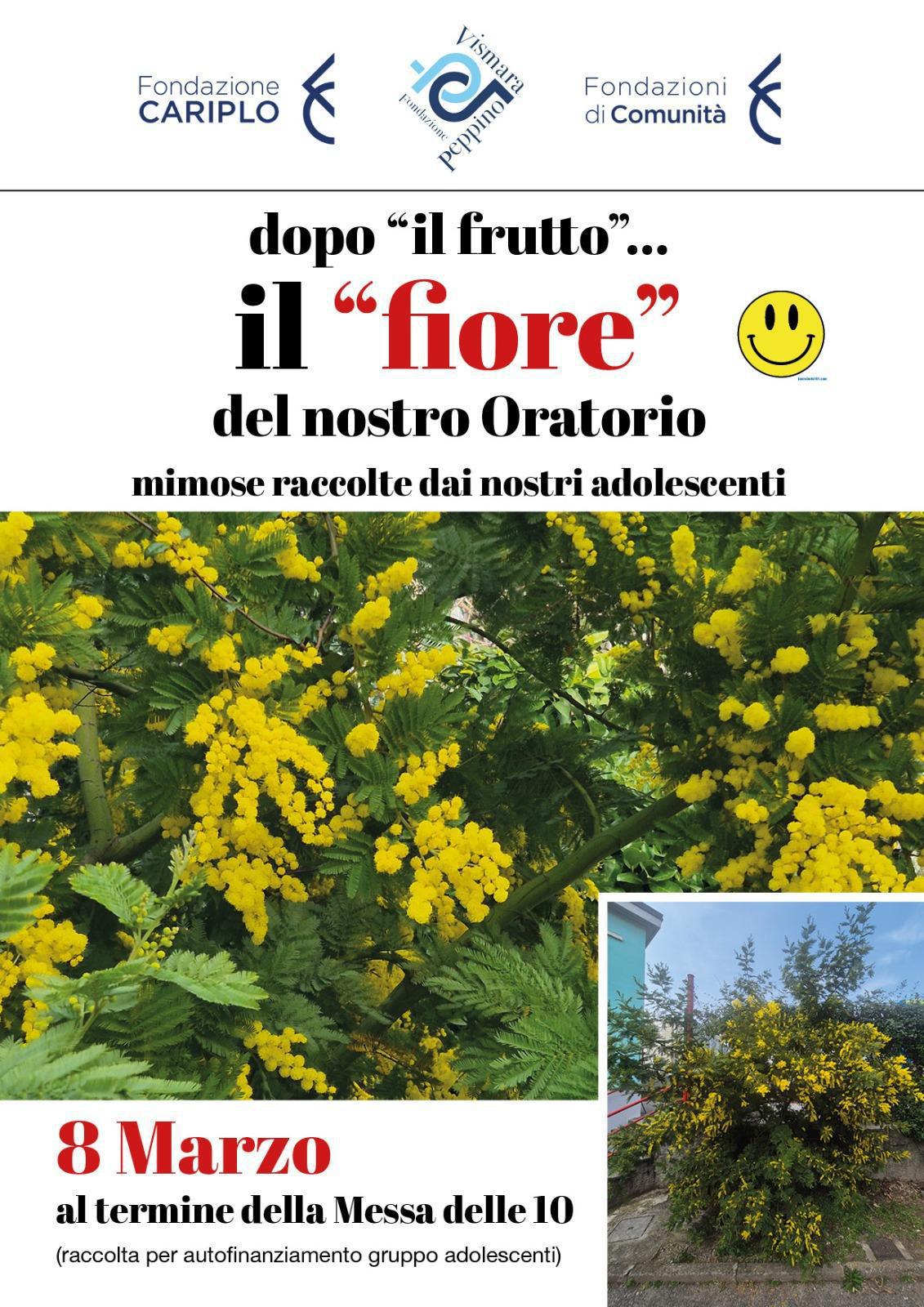 8 Marzo: MIMOSE: autofinanziamento Adolescenti