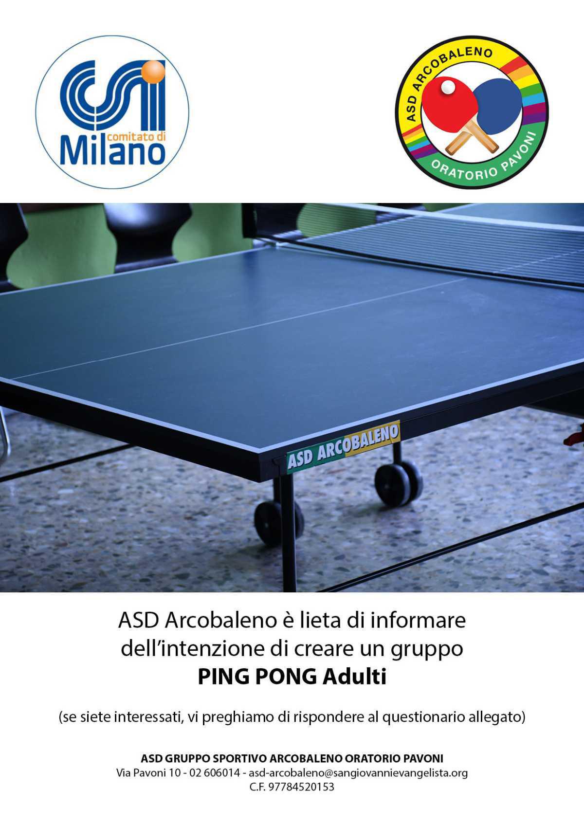 Ping Pong Adulti