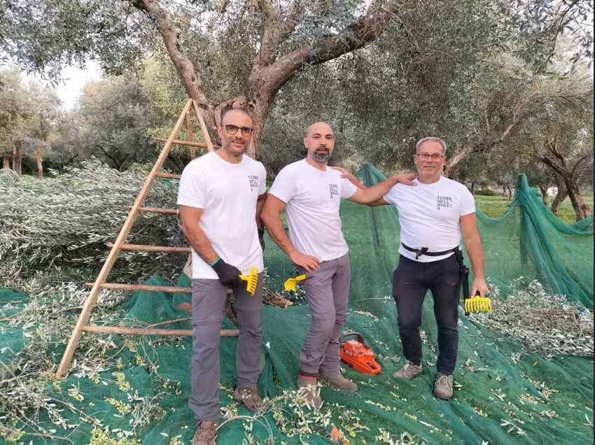 Terre dell'Angelo società agricola Terre dell'Angelo società agricola