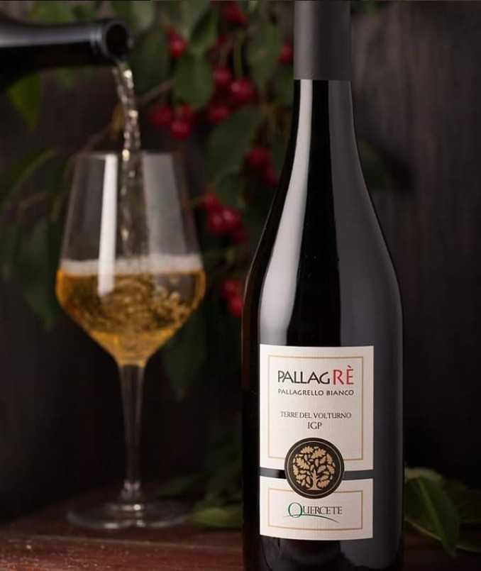 Azienda Agricola Quercete Azienda Agricola Quercete