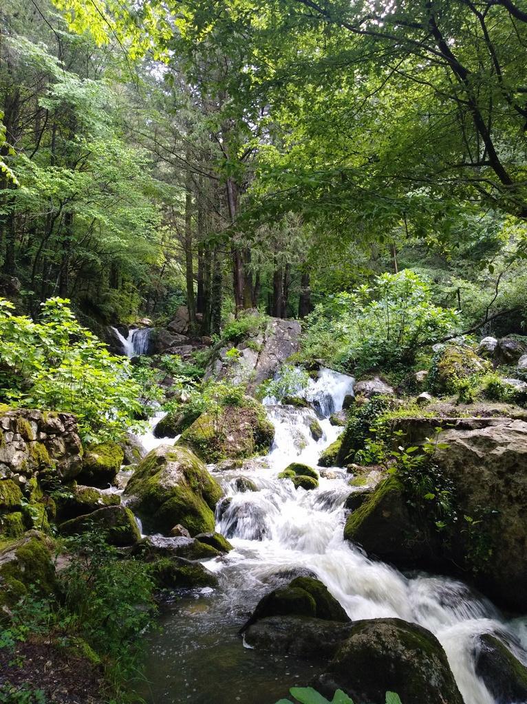 Cipresseta di Fontegreca Cipresseta di Fontegreca