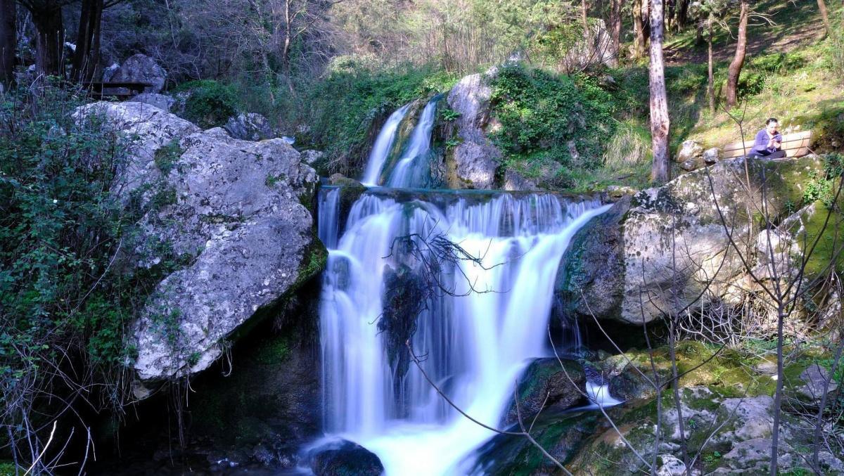 Cipresseta di Fontegreca Cipresseta di Fontegreca