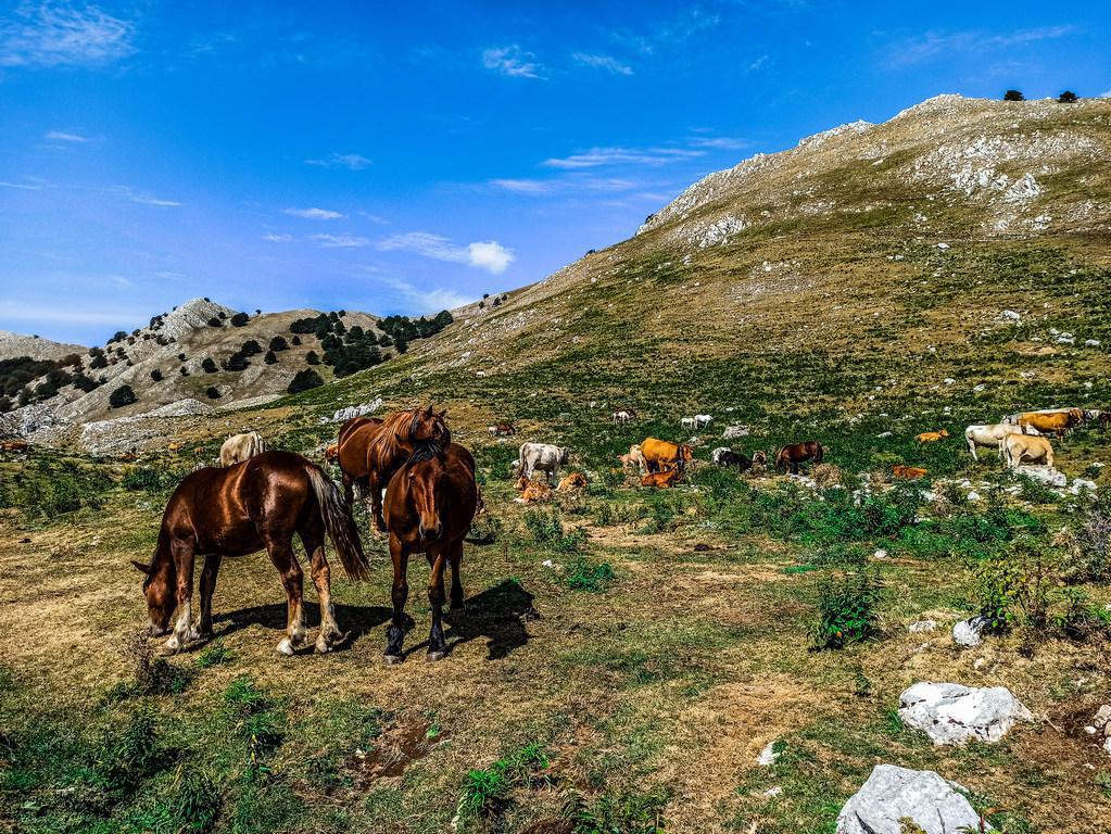 Valle dell'Esule Valle dell'Esule
