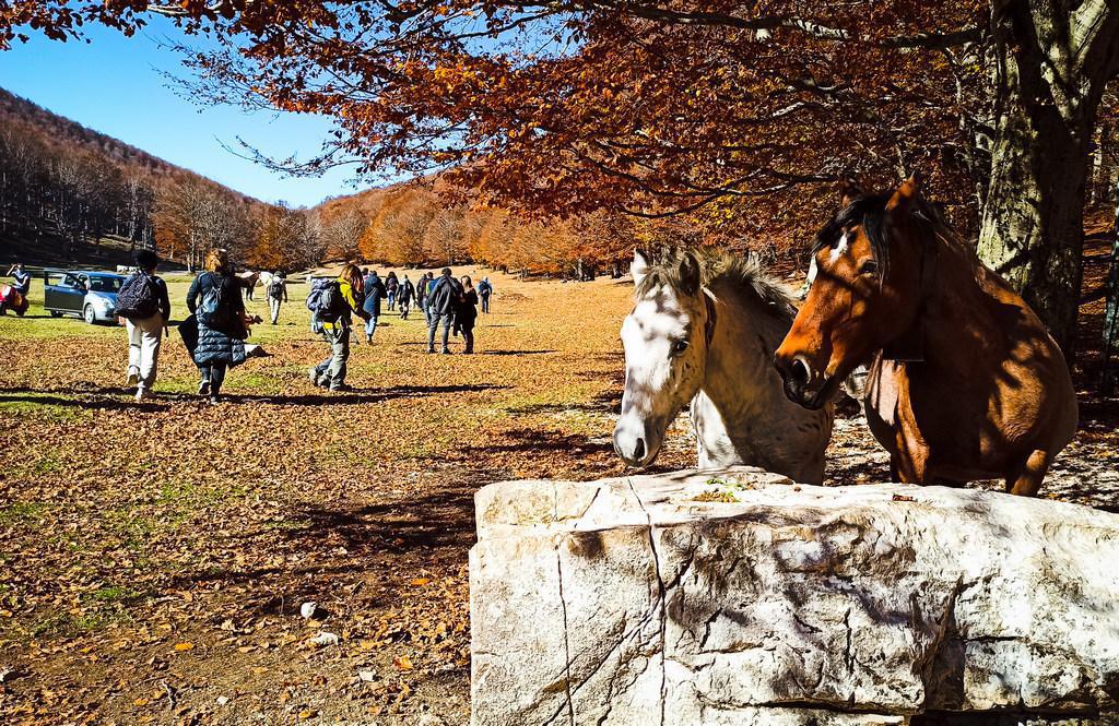 Bocca della Selva - Piano dell'Arvaneto Bocca della Selva - Piano dell'Arvaneto