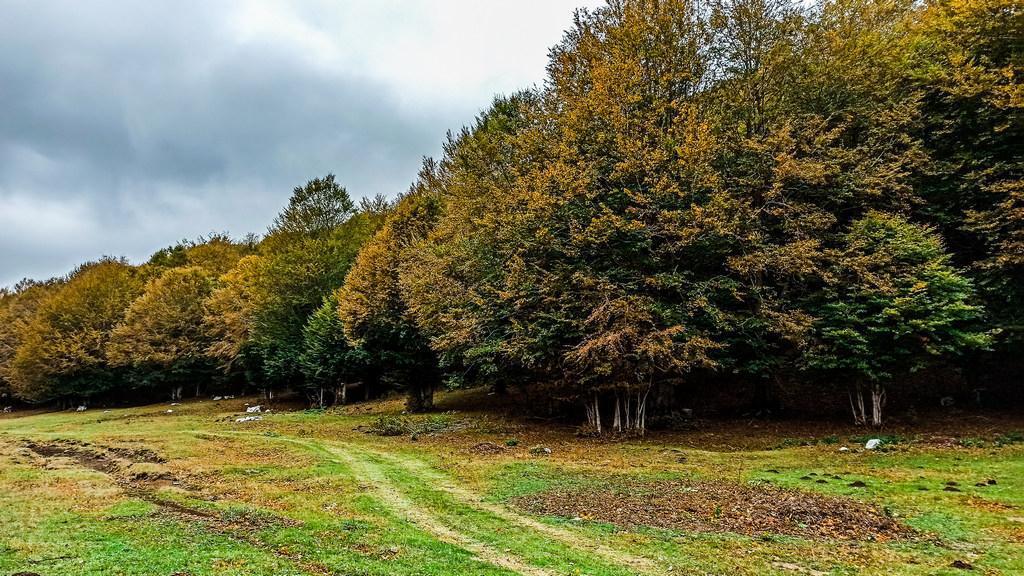Bocca della Selva - Piano dell'Arvaneto Bocca della Selva - Piano dell'Arvaneto