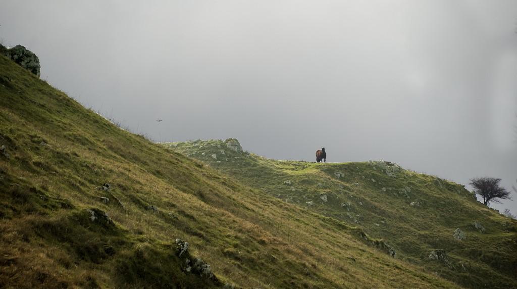 Pedala Pietraroja Pedala Pietraroja