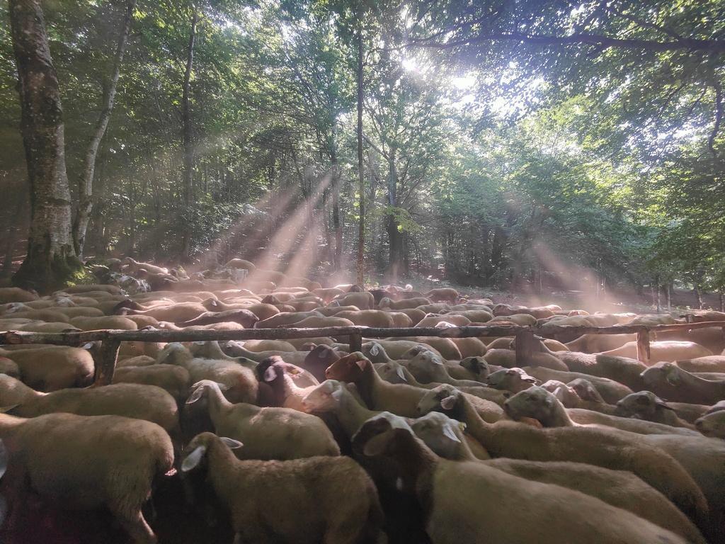 Campo Braca - Belvedere Pranzaturo Campo Braca - Belvedere Pranzaturo