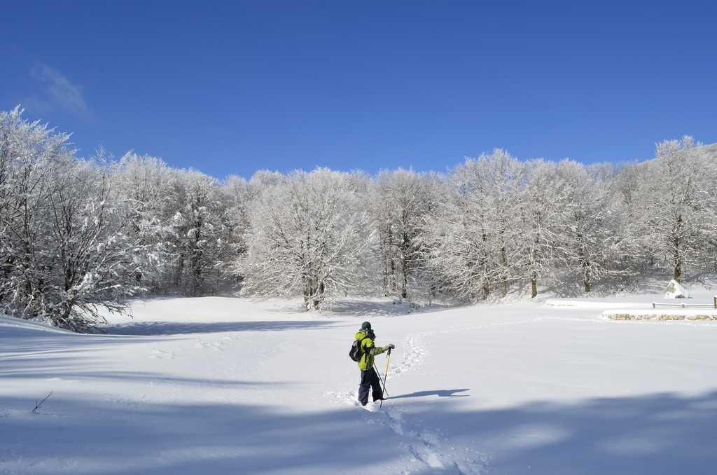 EcoCampus Monte Orso - Pianellone EcoCampus Monte Orso - Pianellone