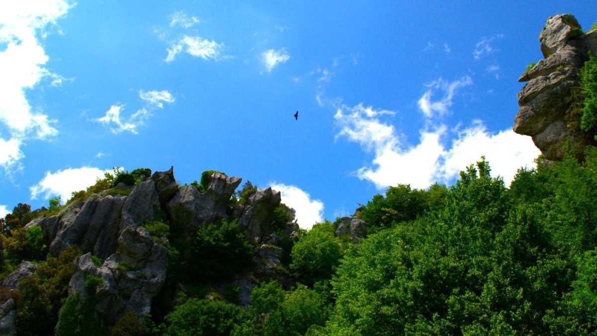Sentiero delle Fate - Campo Figliuolo - Fontana dei Palombi Sentiero delle Fate - Campo Figliuolo - Fontana dei Palombi