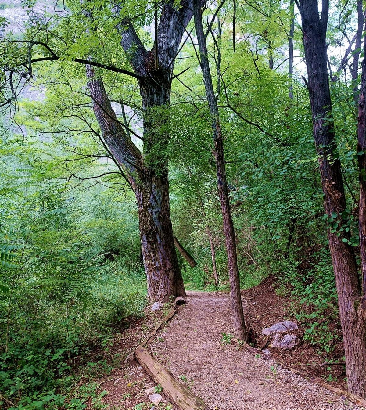 Riserva Naturale Biotopo La Rupe -Natural Reserve La Rupe Biotope