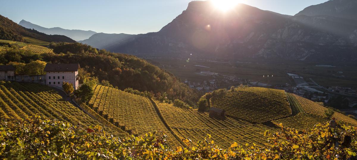 Piana Rotaliana - Rotaliana Plain