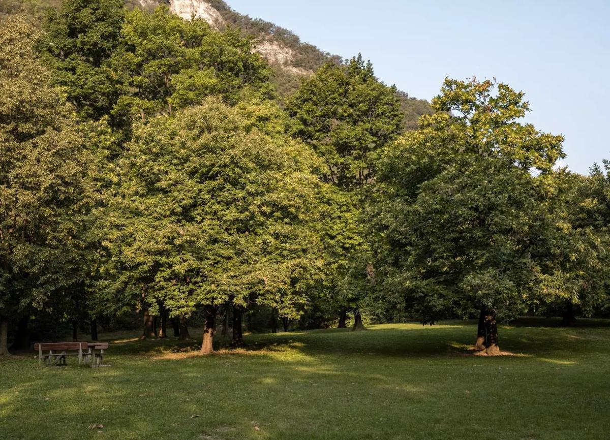 Località Ai Piani