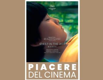 Sheep in the box (inizio ore 21.00)