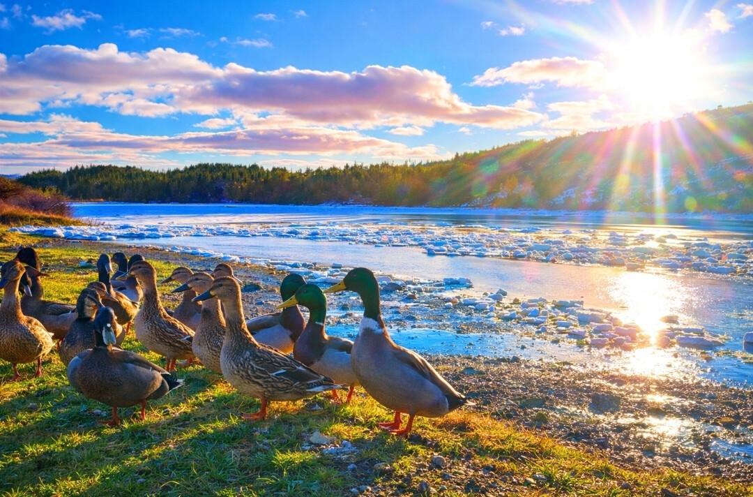 Winter Carnival Photo Contest Winners