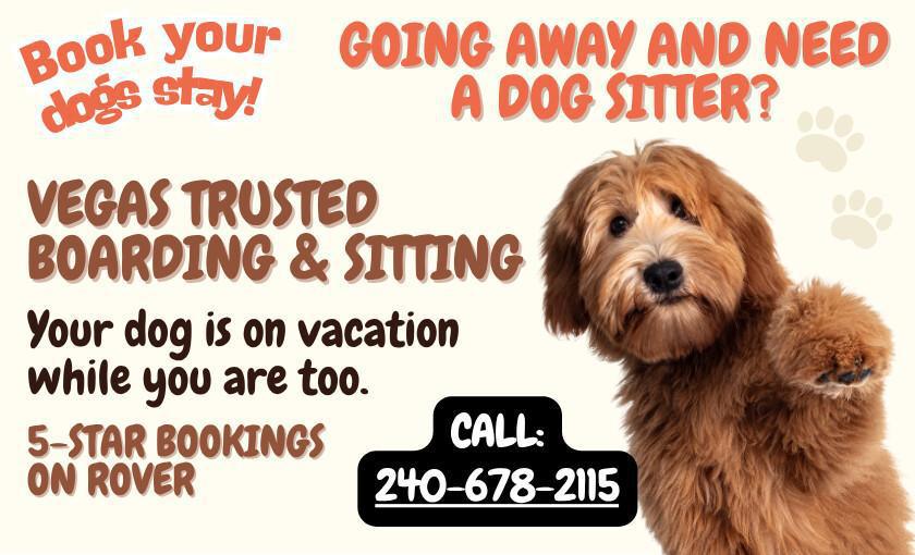 Jeff's Dog Sitting Services (5-Star Reviews!)