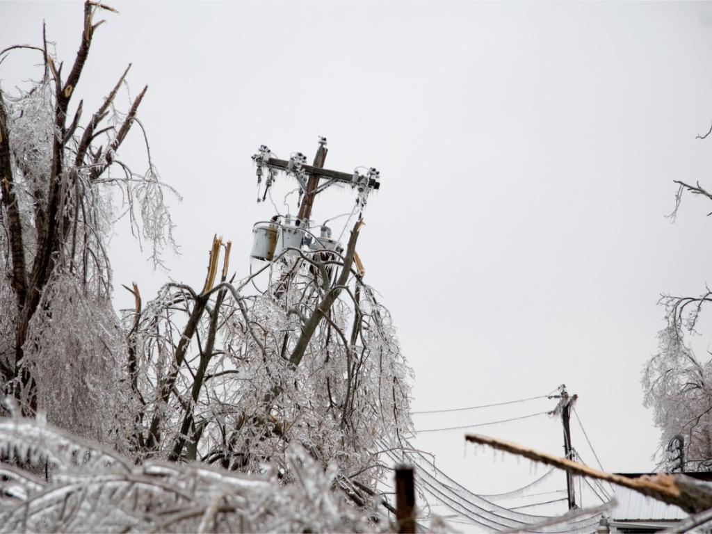 Guide de survie en milieu hostile au Québec Guide de survie en milieu hostile au Québec
