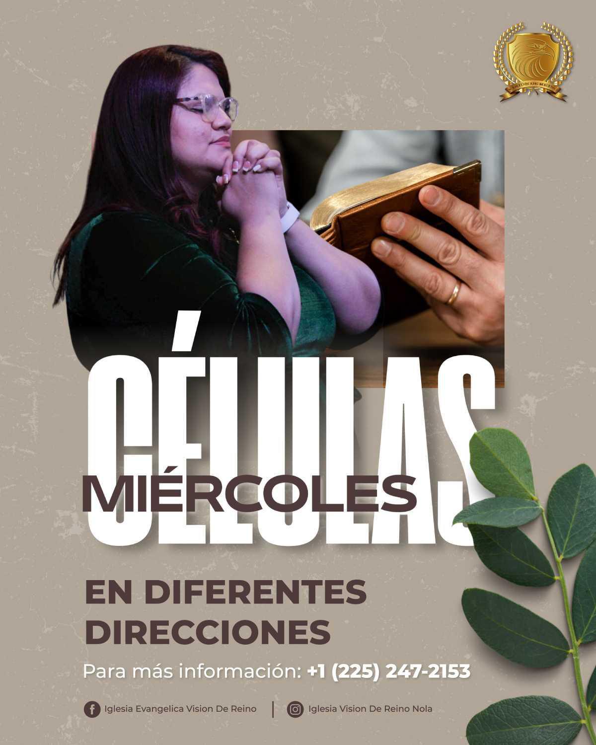 Células