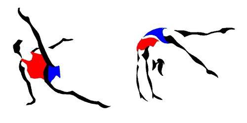 Finale DIR - GAM/GAF - 16/17 Juin à Avignon- Résultats