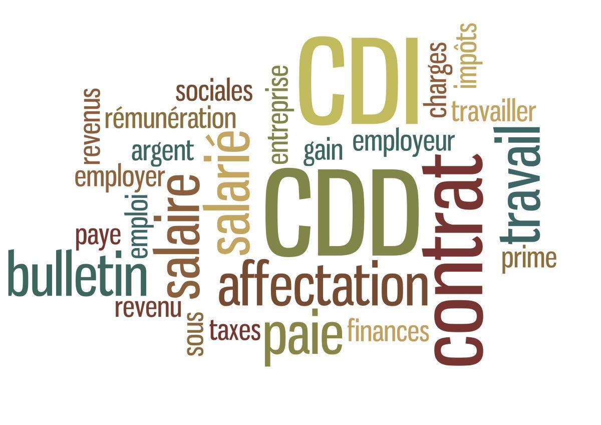 Groupe de Travail sur les contractuels Groupe de Travail sur les contractuels