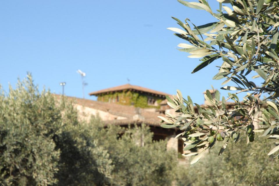 Bienvenid@s Bienvenid@s