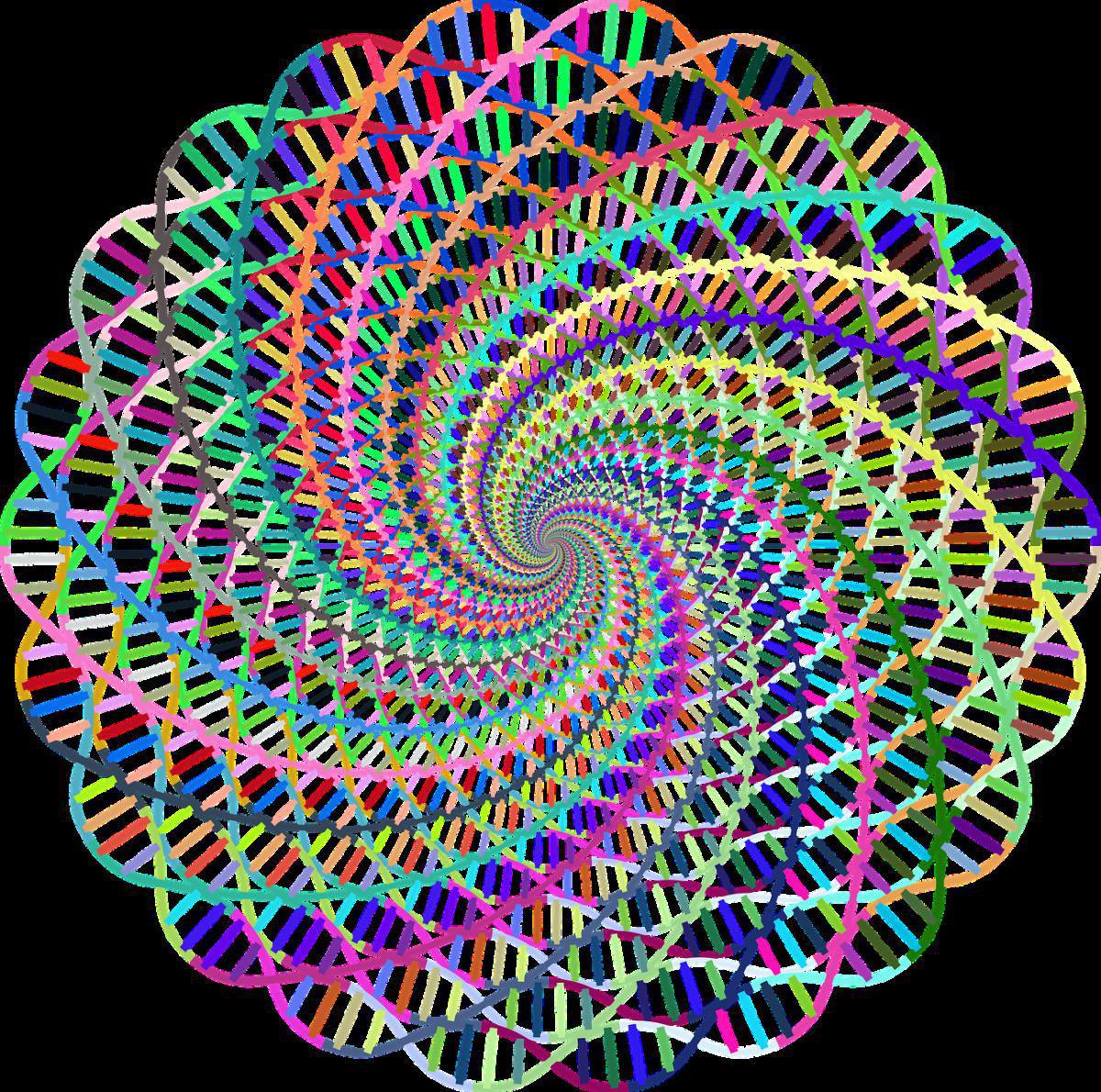 Ondes scalaires : une approche vibratoire complémentaire au service de votre bien-être