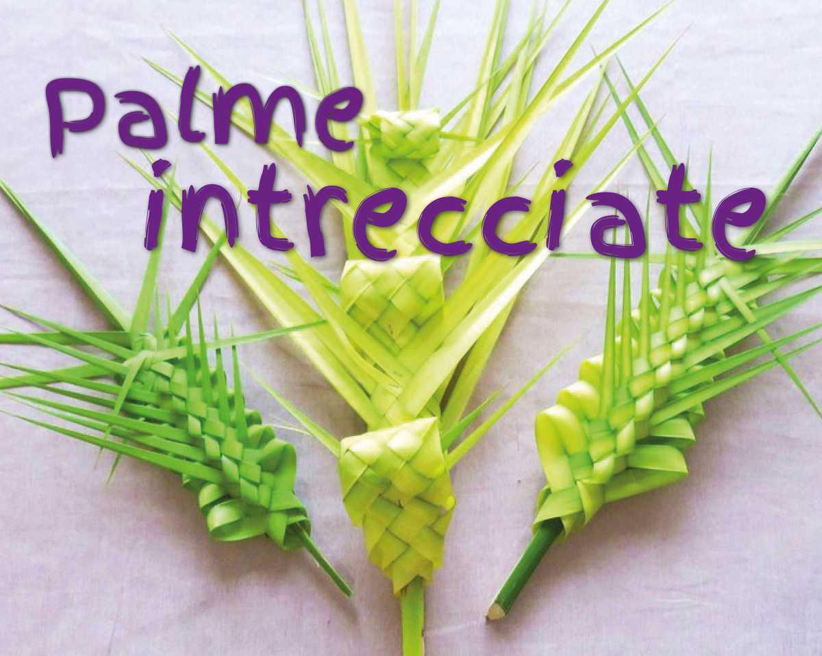 Palme intrecciate