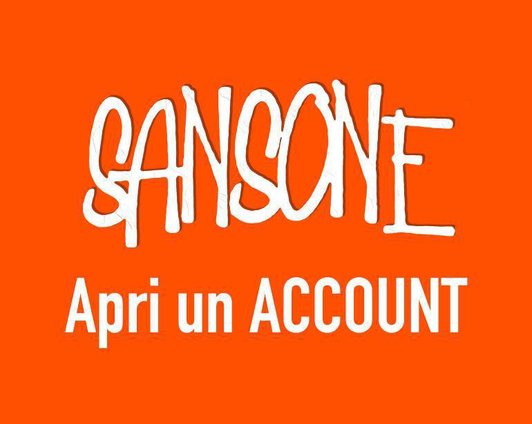Iscrizione Sansone Iscrizione Sansone