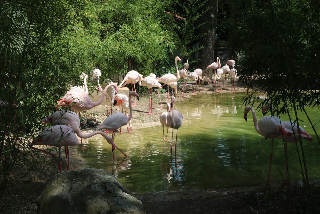 18 giugno - GITA al parco Le Cornelle