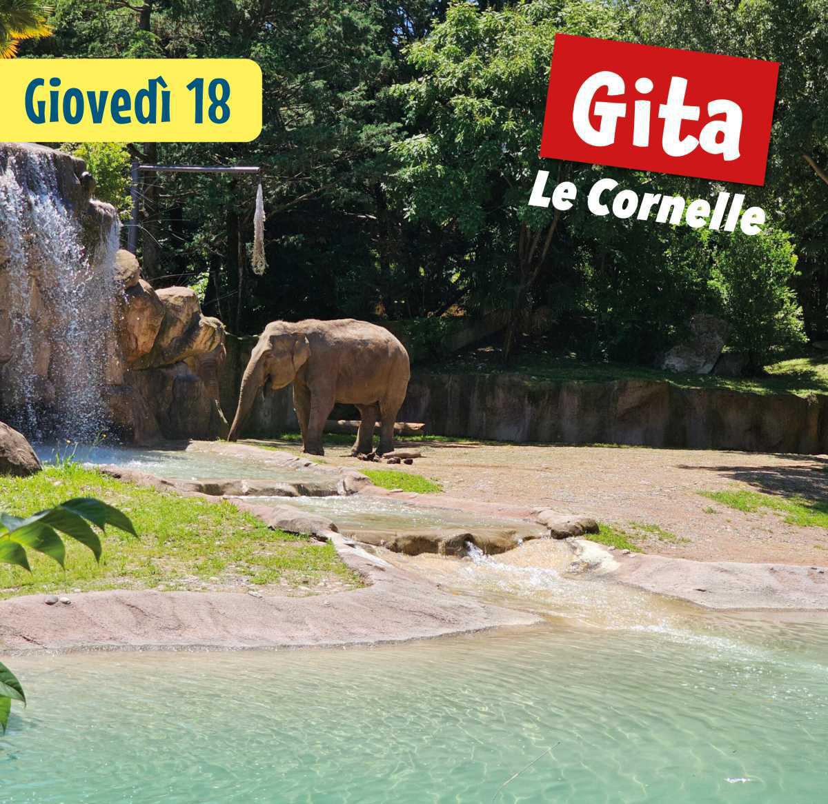 Settimana 2