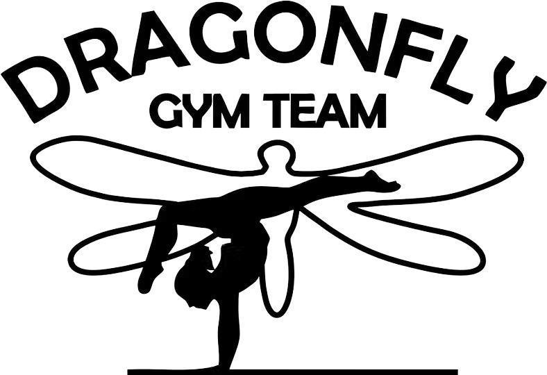 Dragonfly Gym Team