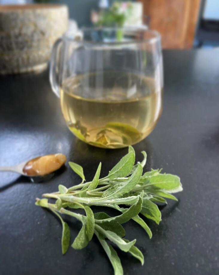 🌿 Crée tes propres infusions de plantes avec Cécile à Lille