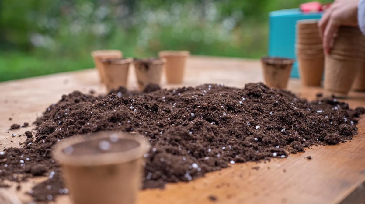 🌱 Initiez-vous à la permaculture avec Olivier 🌱 Initiez-vous à la permaculture avec Olivier