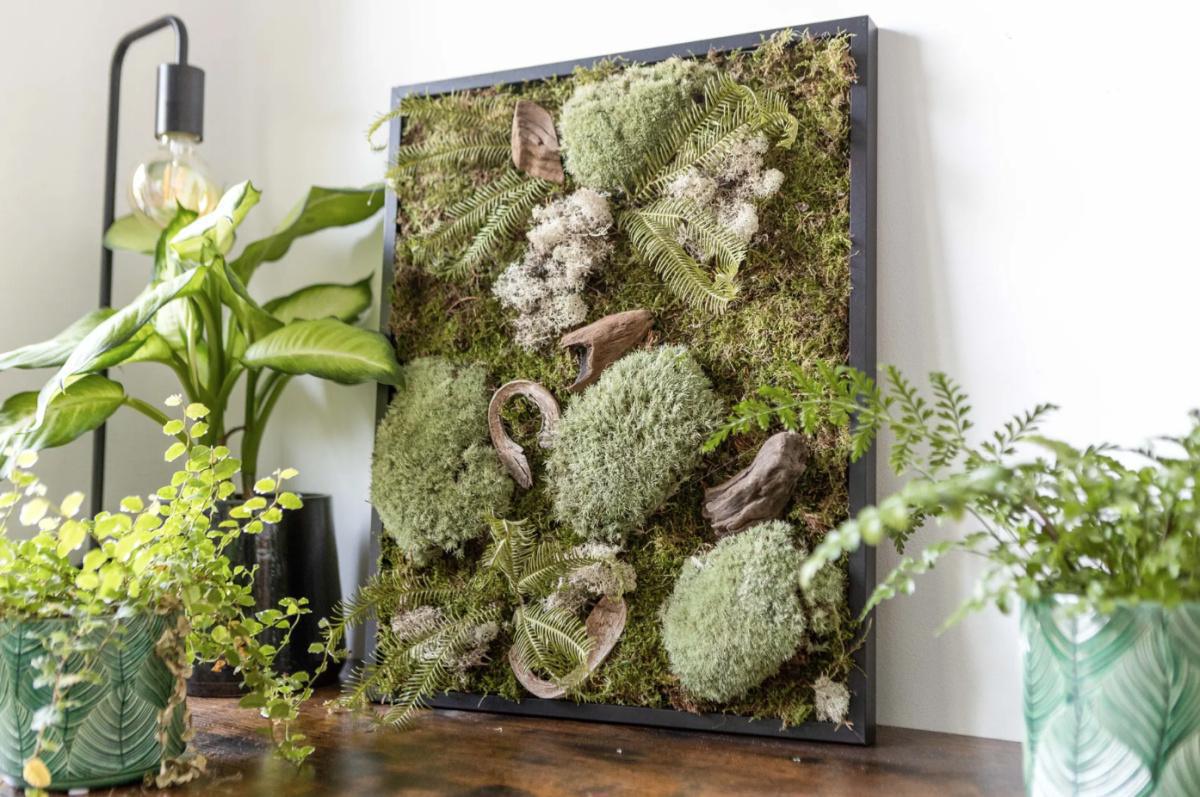 🌿 Crée ton cadre végétal avec Bruno et Martine