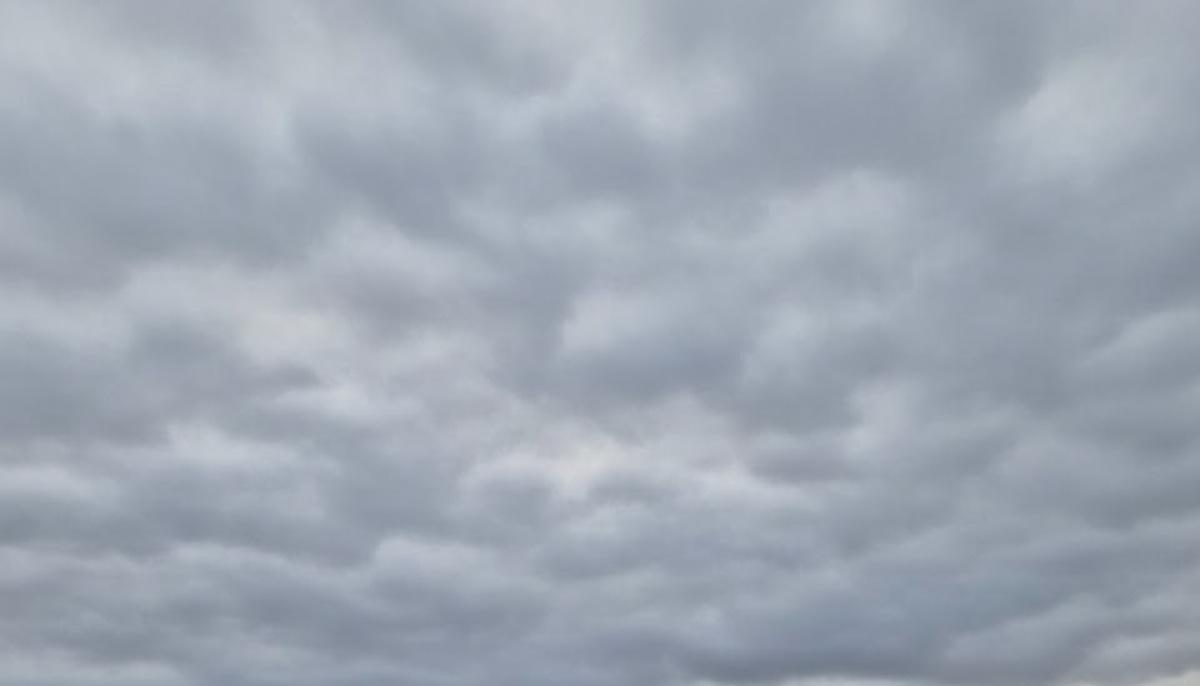 Météo Lille 30 janvier 2026 : Prévisions, températures et conseils sorties