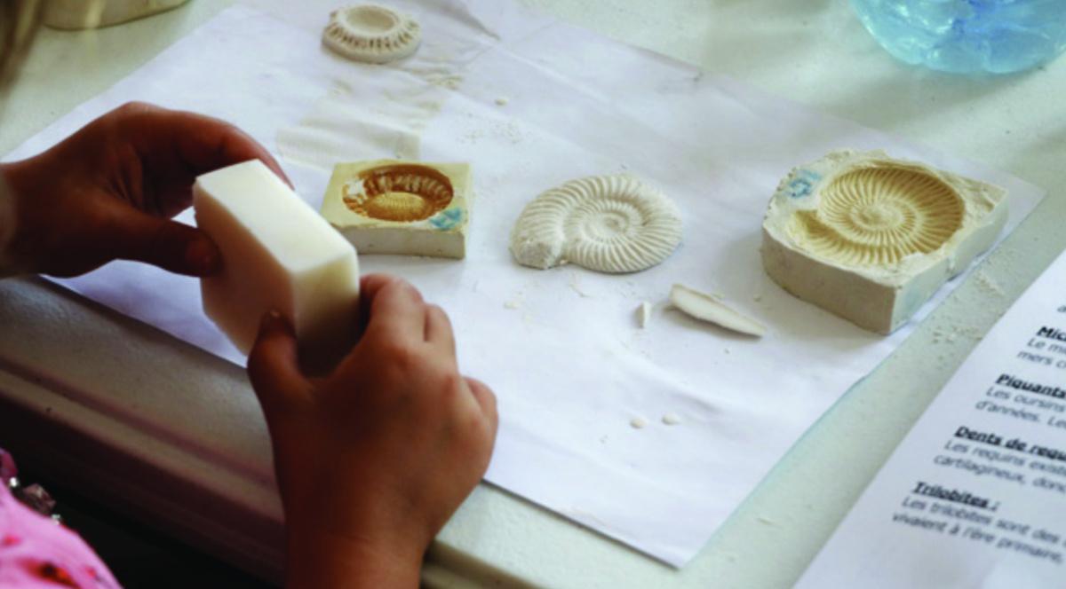 Les petits labos "Musique et sciences" 