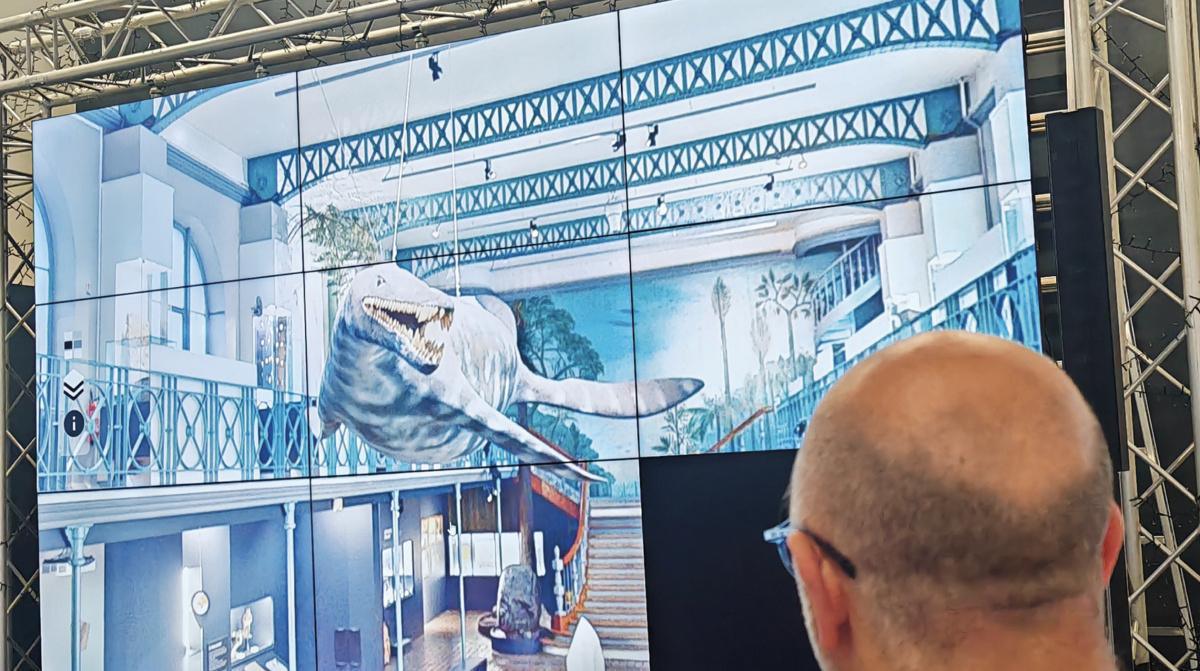 Visite virtuelle commentée au Musée d’histoire naturelle Visite virtuelle commentée au Musée d’histoire naturelle