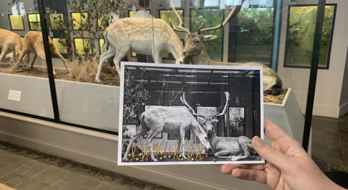 Atelier Broderie sur photos à la Maison Folie Moulins