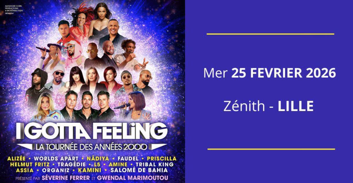 I GOTTA FEELING au Zénith de Lille